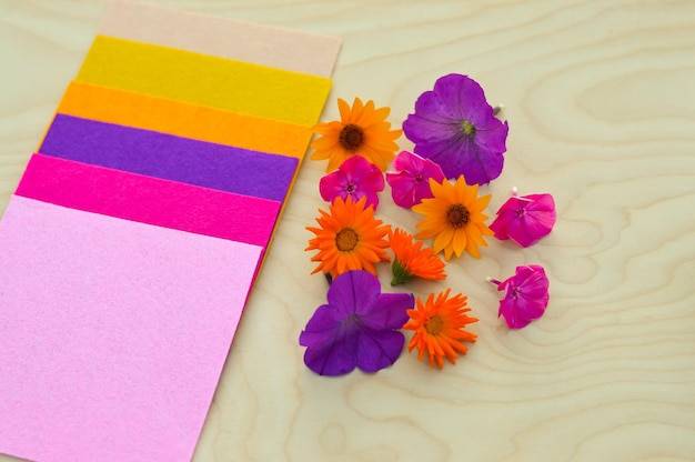 Jakie kolory na wiosnę 2026 warto wybrać do codziennych stylizacji?