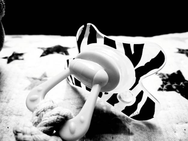 Jak zrobić czarno białe zdjęcie z kolorowym elementem w domowych warunkach?